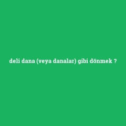 deli dana (veya danalar) gibi dönmek