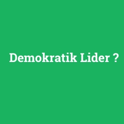 Demokratik Lider