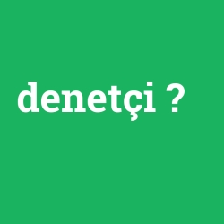 denetçi