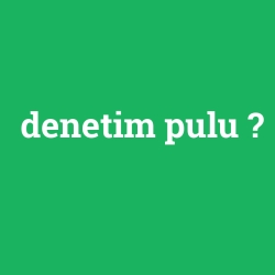 denetim pulu
