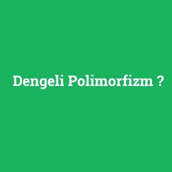 Dengeli Polimorfizm