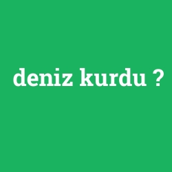 deniz kurdu