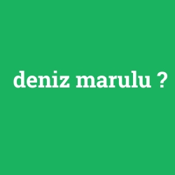 deniz marulu