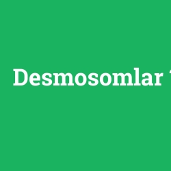 Desmosomlar foto galeri