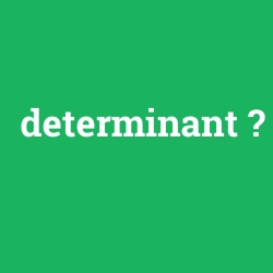 determinant foto galeri