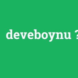 deveboynu