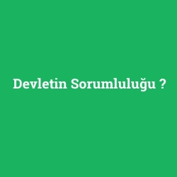 Devletin Sorumluluğu