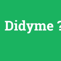 Didyme foto galeri