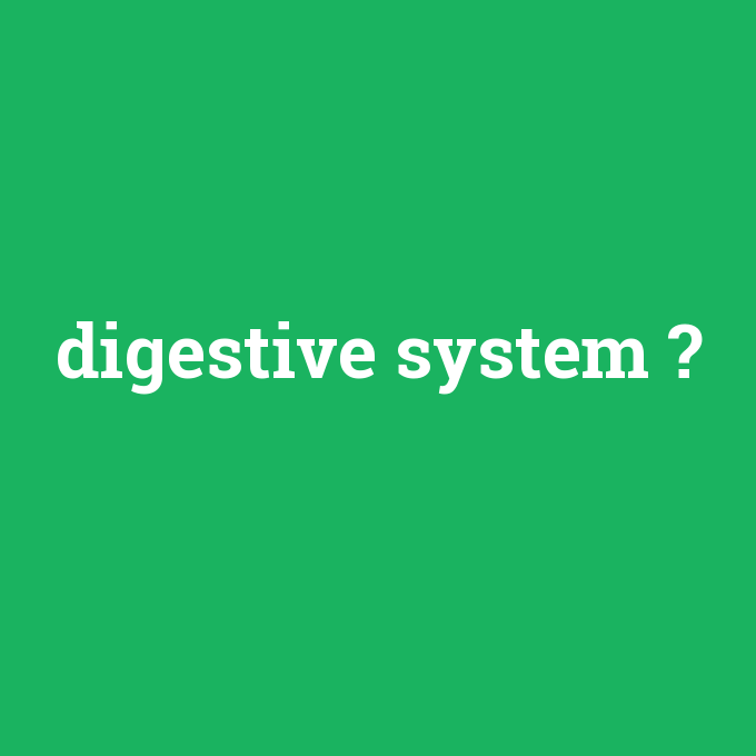 digestive system, digestive system nedir ,digestive system ne demek