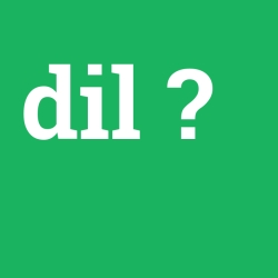 dil foto galeri