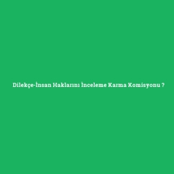 Dilekçe-İnsan Haklarını İnceleme Karma Komisyonu foto galeri