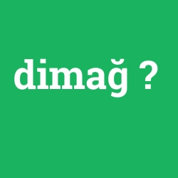 dimağ