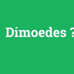 Dimoedes