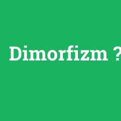 Dimorfizm