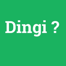Dingi