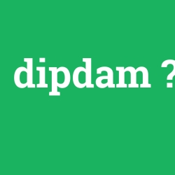 dipdam