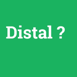 Distal