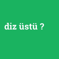 diz üstü