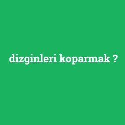 dizginleri koparmak