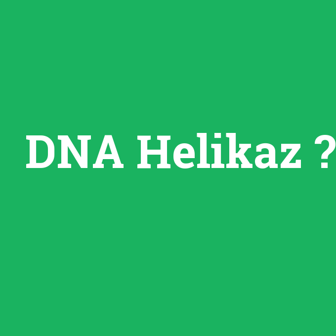 DNA Helikaz, DNA Helikaz nedir ,DNA Helikaz ne demek