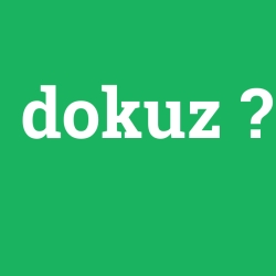 dokuz