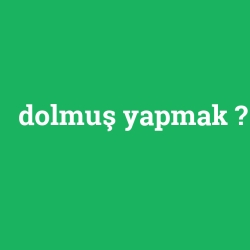dolmuş yapmak