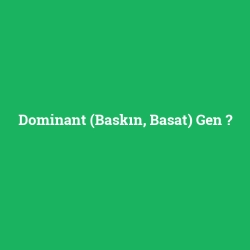 Dominant (Baskın, Basat) Gen foto galeri