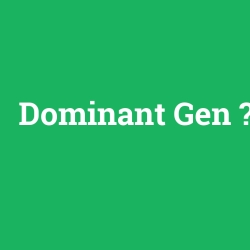 Dominant Gen foto galeri