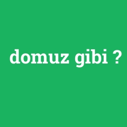 domuz gibi