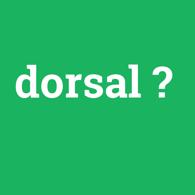dorsal, dorsal nedir ,dorsal ne demek