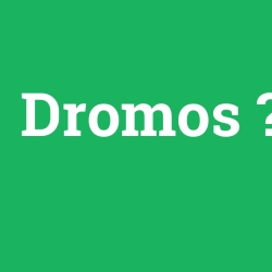 Dromos