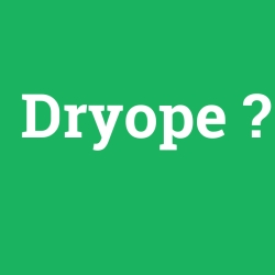 Dryope foto galeri