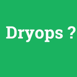 Dryops