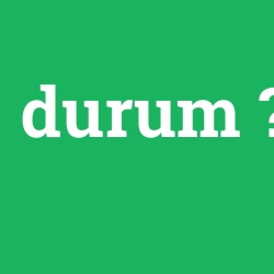 durum
