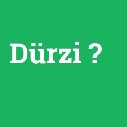 Dürzi