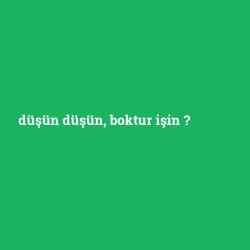 düşün düşün, boktur işin