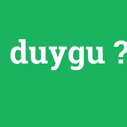 duygu