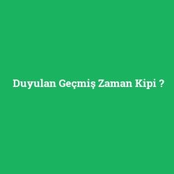 Duyulan Geçmiş Zaman Kipi