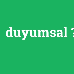 duyumsal