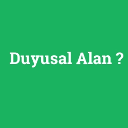 Duyusal Alan