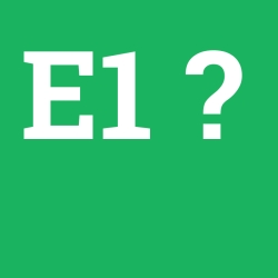 E1