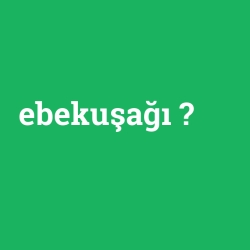 ebekuşağı