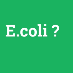 E.coli