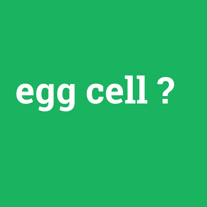egg cell, egg cell nedir ,egg cell ne demek