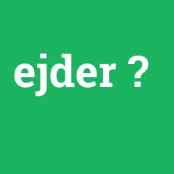 ejder foto galeri