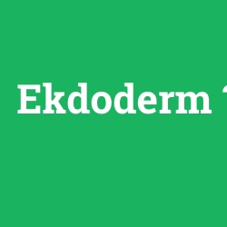 Ekdoderm
