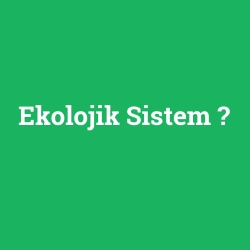 Ekolojik Sistem