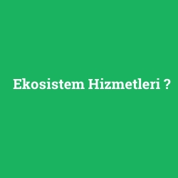 Ekosistem Hizmetleri