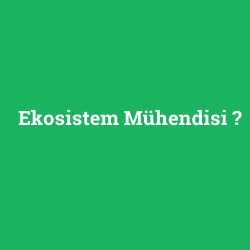 Ekosistem Mühendisi