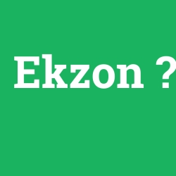 Ekzon foto galeri